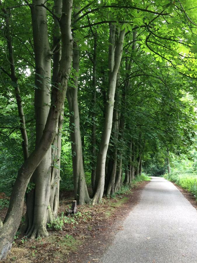 Burgvliet 33 Villa Oostkapelle Eksteriør billede